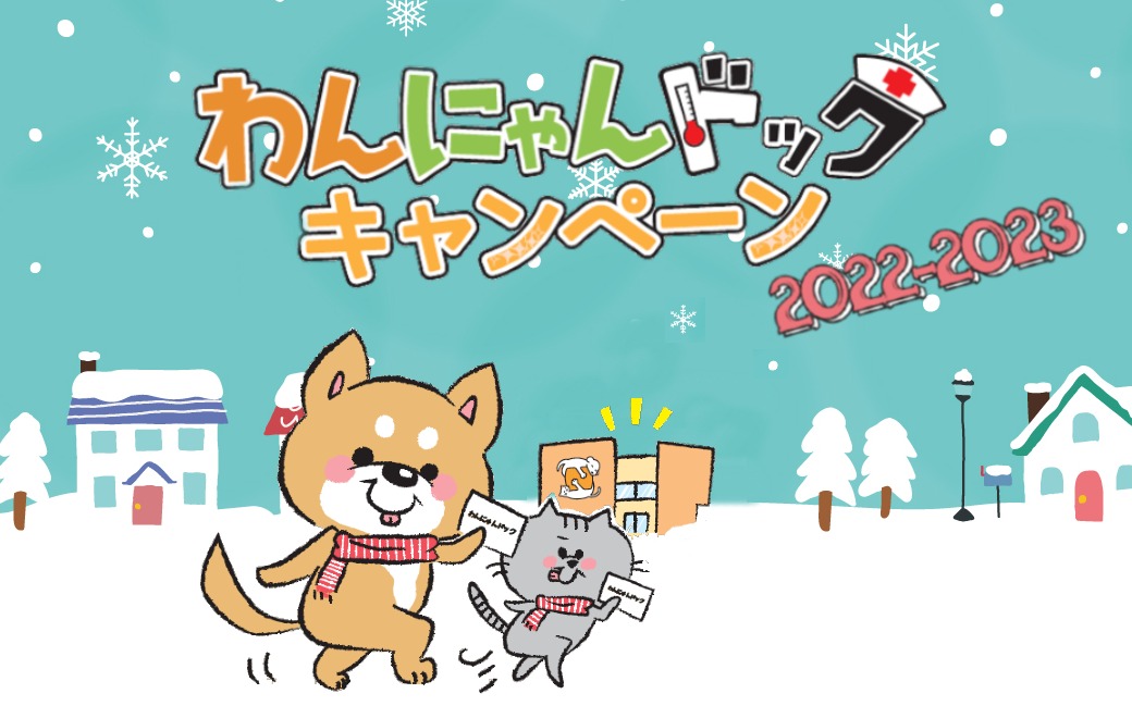  5. 赤血球生成性プロトポルフィリン症